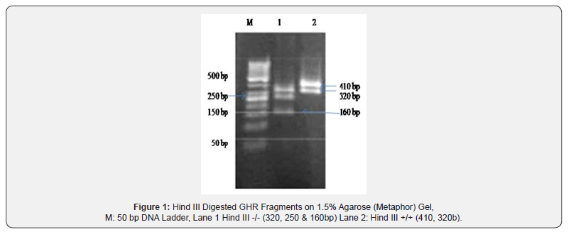 Click here to view Large Figure 1 Pharmacokinetics of Cefepime after Single Intravenous and Intramuscular Administrations in Broiler Chickens