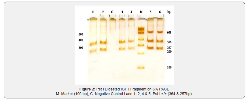 Click here to view Large Figure 2 Pharmacokinetics of Cefepime after Single Intravenous and Intramuscular Administrations in Broiler Chickens