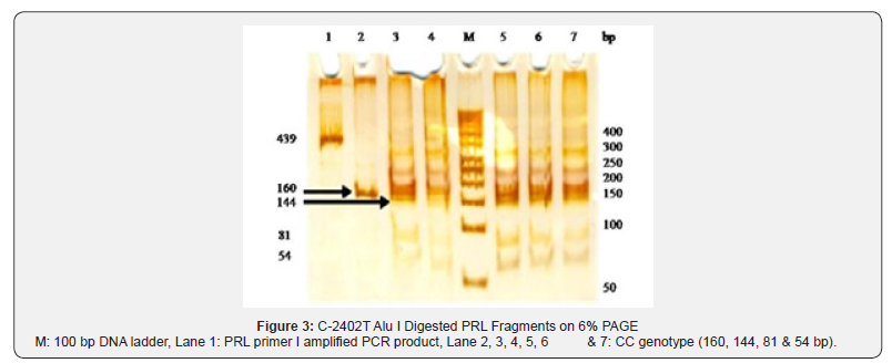 Click here to view Large Figure 3 Pharmacokinetics of Cefepime after Single Intravenous and Intramuscular Administrations in Broiler Chickens