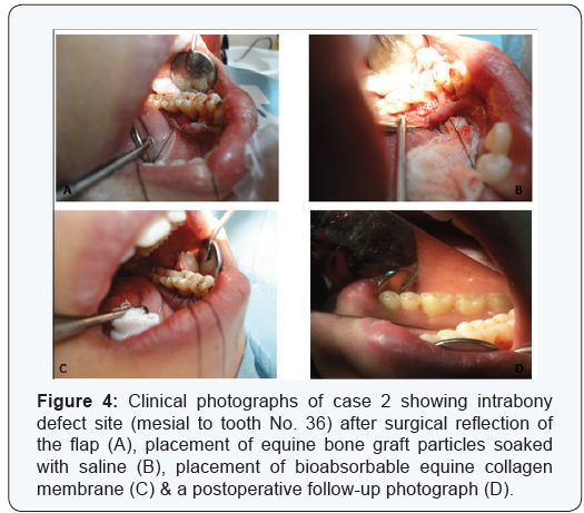 Click here to view Large Table