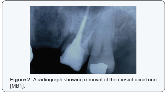 Click here to view Large Figure 1