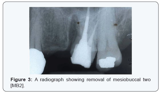Click here to view Large Figure 1