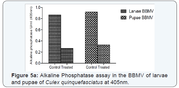 Click here to view Large Figure 5a