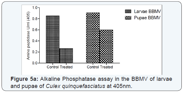 Click here to view Large Figure 5b