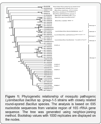 Click here to view Large Figure 1