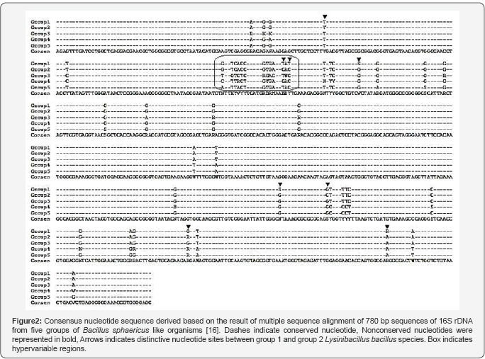 Click here to view Large Figure 2