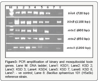 Click here to view Large Figure 3
