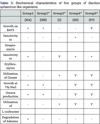 Click here to view Large Table 3