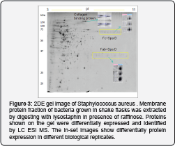 Click here to view Large Figure 3