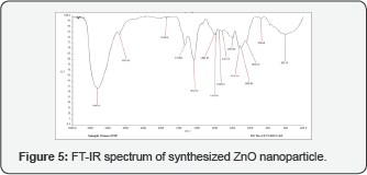 Click here to view Large Figure 5