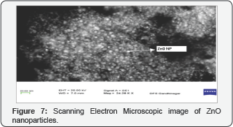 Click here to view Large Figure 7