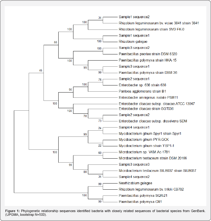 Click here to view Large Figure 1