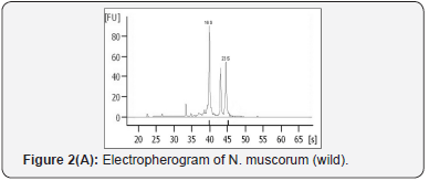 Click here to view Large Figure 3