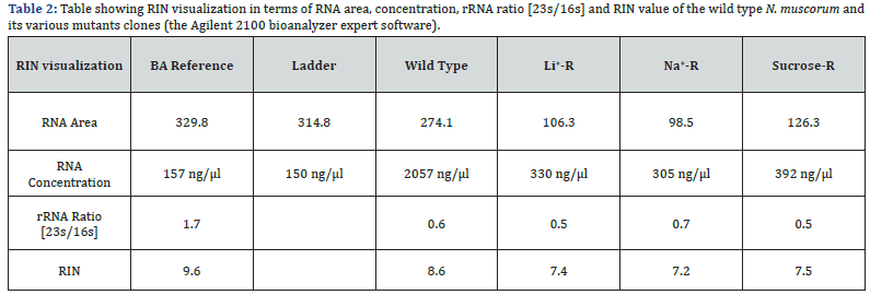 Click here to view Large Table 2
