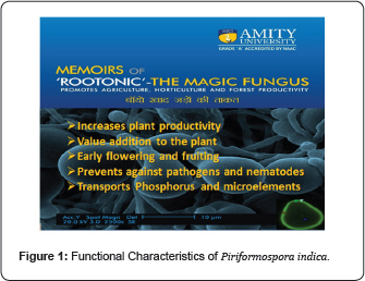 Click here to view Large Figure 1