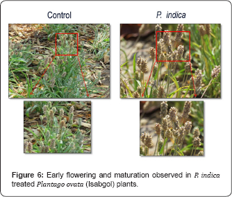 Click here to view Large Figure 6