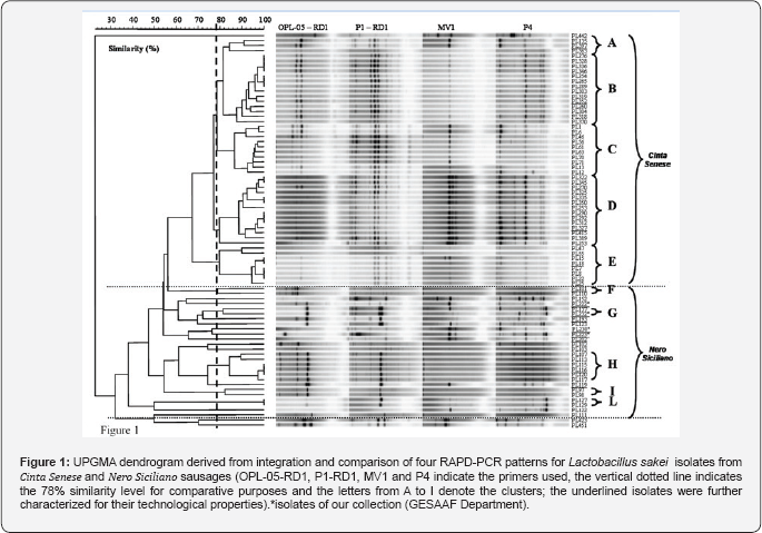 Kaplan-Meier survival analysis showing the calculated probability of overall survival. figure 1