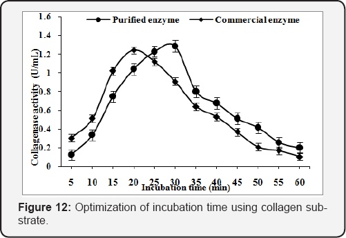 Click here to view Large Figure 12
