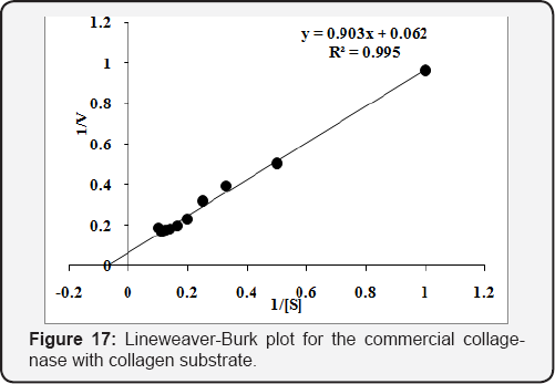 Click here to view Large Figure 17