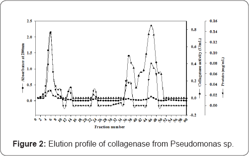 Click here to view Large Figure 2