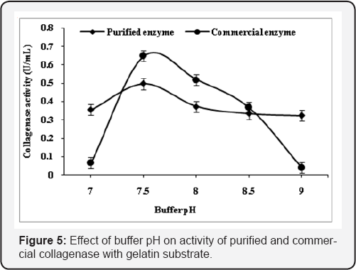 Click here to view Large Figure 5