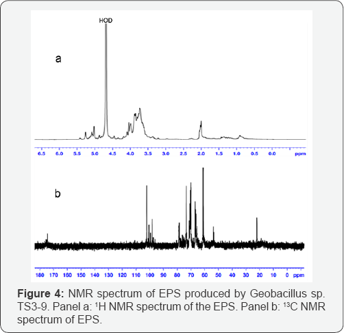 Click here to view Large Figure 4
