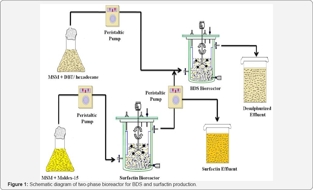 Click here to view Large Figure 2