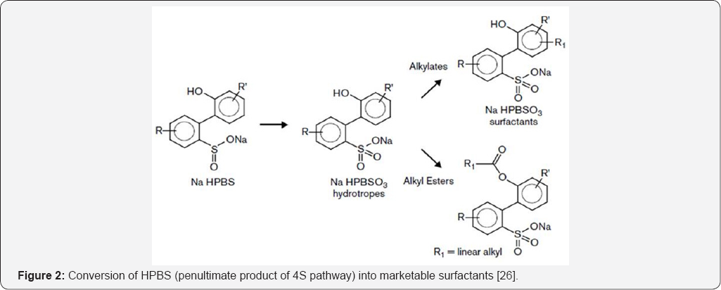 Click here to view Large Figure 2
