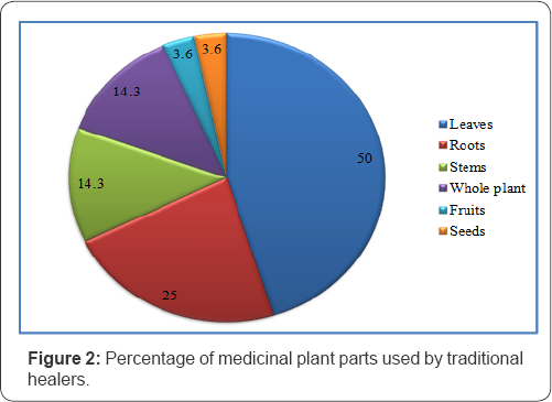 Click here to view Large Figure 1