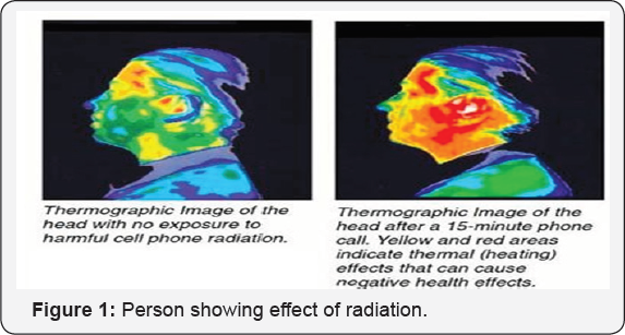 Click here to view Large Table 1