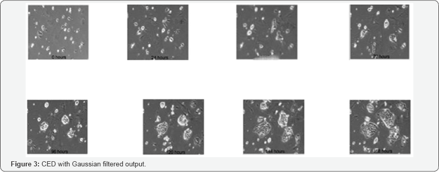 Click here to view Large Figure 3