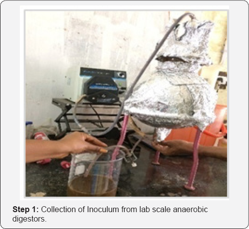 Click here to view Large Figure 1