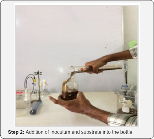 Click here to view Large Figure 2