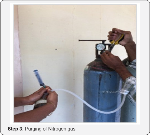 Click here to view Large Figure 3