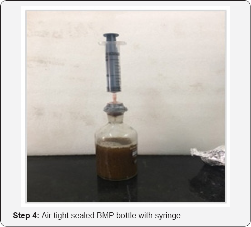 Click here to view Large Figure 4