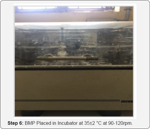 Click here to view Large Figure 6