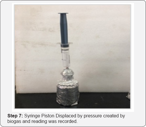 Click here to view Large Figure 7