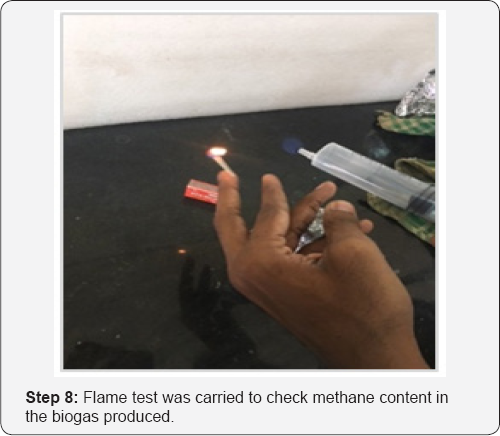 Click here to view Large Figure 8/