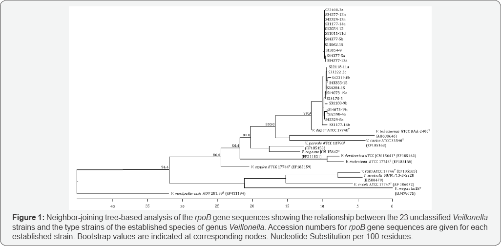 Click here to view Large Figure 1