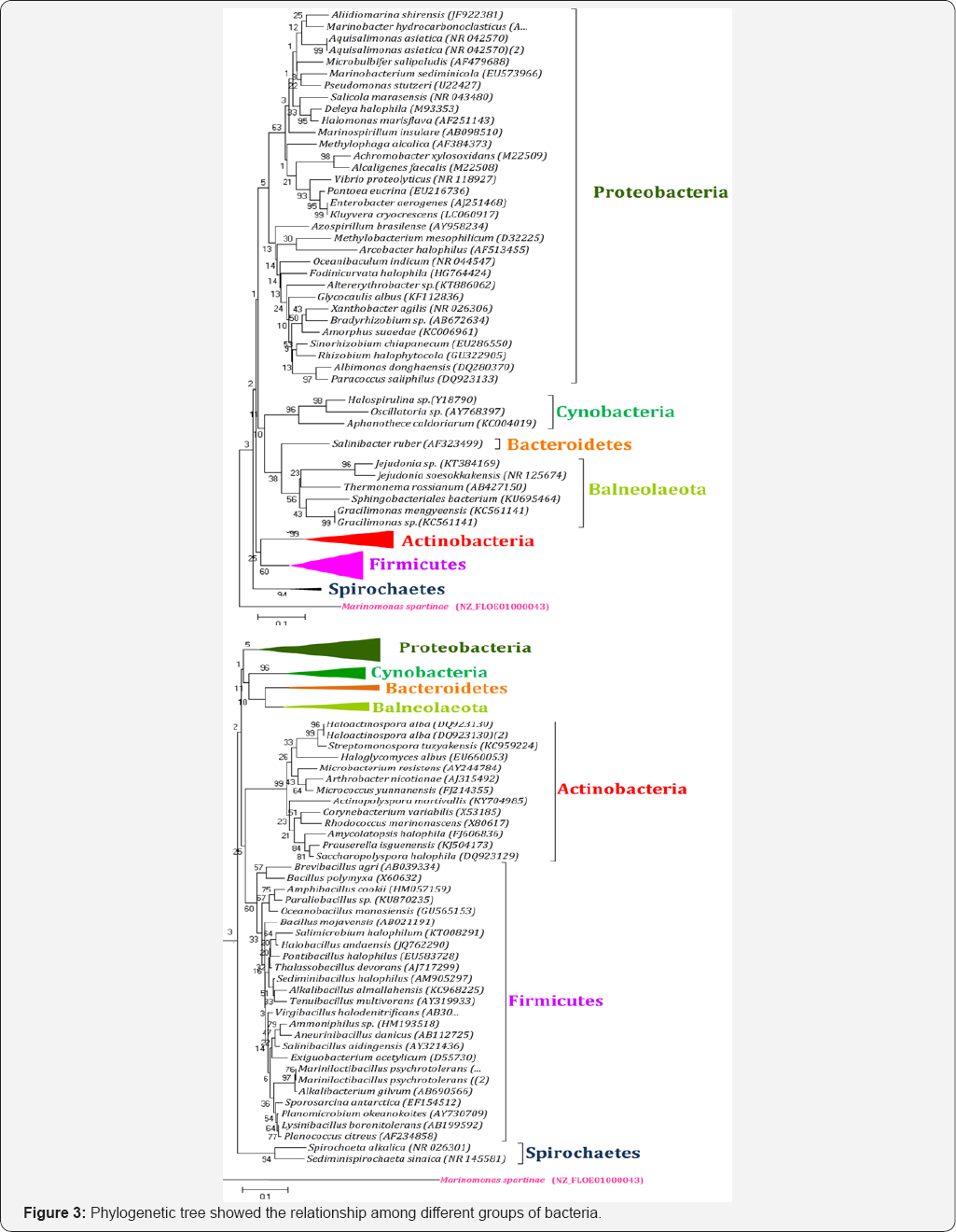Click here to view Large Figure 3