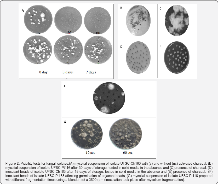 Click here to view Large Figure 2