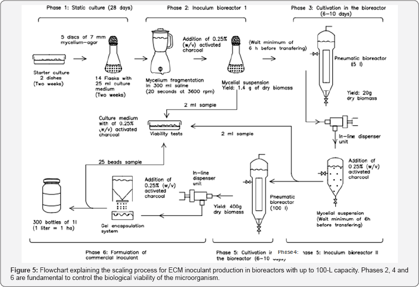 Click here to view Large Figure 5