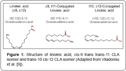 Click here to view Large Image 1