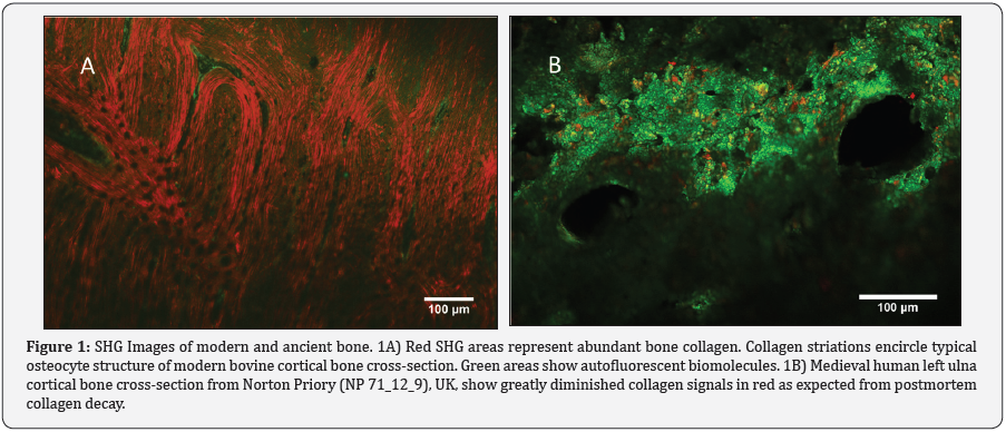Click here to view Large Image 1