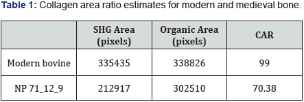 Click here to view Large Table 1
