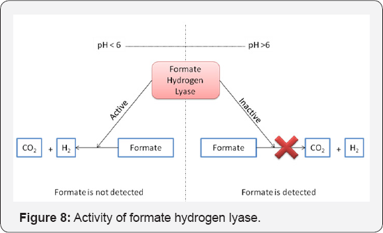 Click here to view Large Figure 8