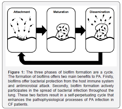 Click here to view Large Figure 1