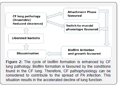 Click here to view Large Figure 2