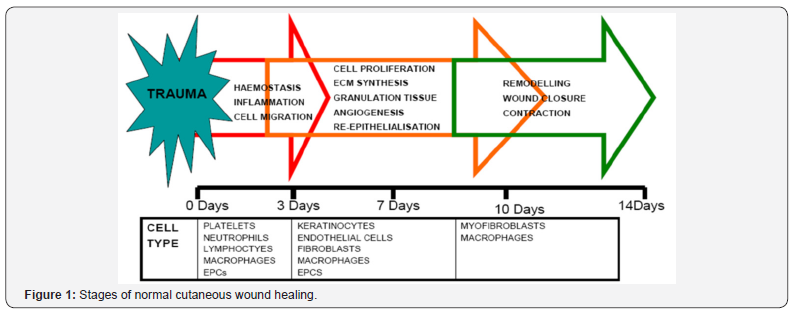 Click here to view Large Figure 1
