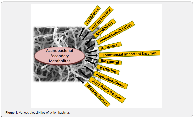 Click here to view Large Figure 1